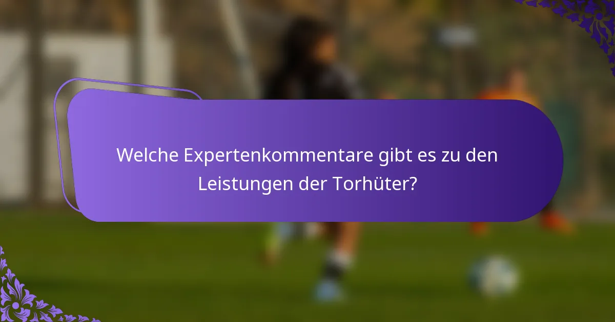Welche Expertenkommentare gibt es zu den Leistungen der Torhüter?